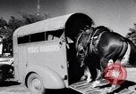 Immagine di Texas Rangers Texas United States USA, 1956, secondo 30 filmato di repertorio 65675036659