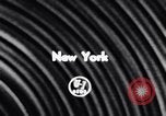 Immagine di 68a Mostra Nazionale del Cavallo New York City USA, 1956, secondo 4 filmato di repertorio 65675036660