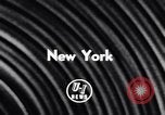 Immagine di 68a Mostra Nazionale del Cavallo New York City USA, 1956, secondo 5 filmato di repertorio 65675036660