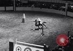 Immagine di 68a Mostra Nazionale del Cavallo New York City USA, 1956, secondo 6 filmato di repertorio 65675036660