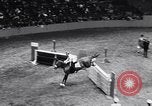 Immagine di 68a Mostra Nazionale del Cavallo New York City USA, 1956, secondo 8 filmato di repertorio 65675036660