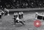 Immagine di 68a Mostra Nazionale del Cavallo New York City USA, 1956, secondo 9 filmato di repertorio 65675036660