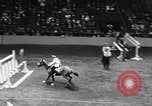 Immagine di 68a Mostra Nazionale del Cavallo New York City USA, 1956, secondo 10 filmato di repertorio 65675036660