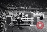 Immagine di 68a Mostra Nazionale del Cavallo New York City USA, 1956, secondo 15 filmato di repertorio 65675036660