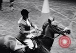 Immagine di 68a Mostra Nazionale del Cavallo New York City USA, 1956, secondo 18 filmato di repertorio 65675036660