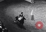 Immagine di 68a Mostra Nazionale del Cavallo New York City USA, 1956, secondo 21 filmato di repertorio 65675036660