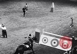 Immagine di 68a Mostra Nazionale del Cavallo New York City USA, 1956, secondo 26 filmato di repertorio 65675036660