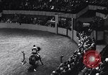 Immagine di 68a Mostra Nazionale del Cavallo New York City USA, 1956, secondo 28 filmato di repertorio 65675036660