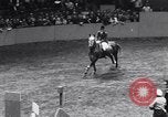 Immagine di 68a Mostra Nazionale del Cavallo New York City USA, 1956, secondo 29 filmato di repertorio 65675036660