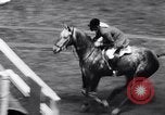 Immagine di 68a Mostra Nazionale del Cavallo New York City USA, 1956, secondo 33 filmato di repertorio 65675036660