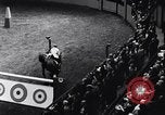 Immagine di 68a Mostra Nazionale del Cavallo New York City USA, 1956, secondo 41 filmato di repertorio 65675036660