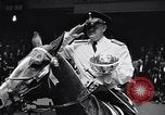 Immagine di 68a Mostra Nazionale del Cavallo New York City USA, 1956, secondo 44 filmato di repertorio 65675036660
