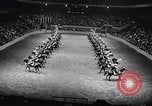 Immagine di 68a Mostra Nazionale del Cavallo New York City USA, 1956, secondo 50 filmato di repertorio 65675036660