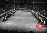 Immagine di 68a Mostra Nazionale del Cavallo New York City USA, 1956, secondo 51 filmato di repertorio 65675036660