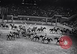 Immagine di 68a Mostra Nazionale del Cavallo New York City USA, 1956, secondo 56 filmato di repertorio 65675036660