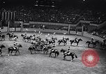 Immagine di 68a Mostra Nazionale del Cavallo New York City USA, 1956, secondo 57 filmato di repertorio 65675036660