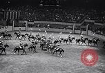 Immagine di 68a Mostra Nazionale del Cavallo New York City USA, 1956, secondo 58 filmato di repertorio 65675036660