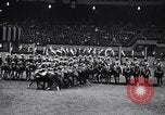 Immagine di 68a Mostra Nazionale del Cavallo New York City USA, 1956, secondo 62 filmato di repertorio 65675036660