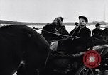 Immagine di I civili migrare Ungheria, 1956, secondo 29 filmato di repertorio 65675036664
