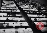 Image of Selective Service System United States USA, 1948, second 3 stock footage video 65675036673