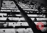 Image of Selective Service System United States USA, 1948, second 4 stock footage video 65675036673