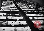 Image of Selective Service System United States USA, 1948, second 5 stock footage video 65675036673