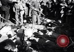 Image cadavre de Mussolini Milan Italie, 1945, de la seconde 1 séquences d'archives historiques vidéo 65675036686