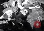 Image la mort de Mussolini Milan Italie, 1945, de la seconde 25 séquences d'archives historiques vidéo 65675036688