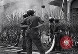 Image fire au siège Florence Italie, 1945, de la seconde 57 séquences d'archives historiques vidéo 65675036708