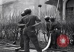 Image fire au siège Florence Italie, 1945, de la seconde 58 séquences d'archives historiques vidéo 65675036708