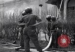 Image fire au siège Florence Italie, 1945, de la seconde 60 séquences d'archives historiques vidéo 65675036708
