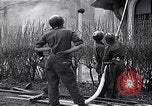Image fire au siège Florence Italie, 1945, de la seconde 61 séquences d'archives historiques vidéo 65675036708
