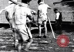 Standbild Cambridge versus Oxford shell Boat Race London England Vereinigtes Königreich, 1900, aus Sekunde 14 historischem Filmmaterial Videoclip 65675036714