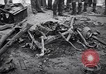 Image of dynamite explosion Palestine, 1947, second 20 stock footage video 65675036720