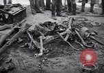Image of dynamite explosion Palestine, 1947, second 21 stock footage video 65675036720