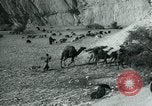 Image of oil drilling Masjed Soleyman Iran, 1908, second 12 stock footage video 65675036726