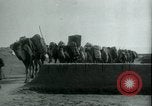 Image of native man leads camel herd Iran, 1908, second 4 stock footage video 65675036728