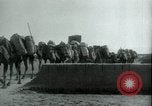 Image of native man leads camel herd Iran, 1908, second 6 stock footage video 65675036728