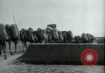 Image of native man leads camel herd Iran, 1908, second 7 stock footage video 65675036728