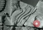 Image of native man leads camel herd Iran, 1908, second 22 stock footage video 65675036728