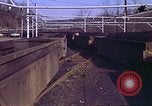 Immagine di Il carbone auto macchina di dumping Aliquippa Pennsylvania USA, 1970, secondo 7 filmato di repertorio 65675036734