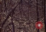 Immagine di Enumeratore censimento Aliquippa Pennsylvania USA, 1970, secondo 54 filmato di repertorio 65675036737