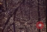 Immagine di Enumeratore censimento Aliquippa Pennsylvania USA, 1970, secondo 56 filmato di repertorio 65675036737