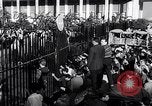 Image of riots in Algeria Algiers Algeria, 1960, second 59 stock footage video 65675036763