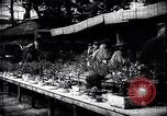 Image zoo et le marché aux fleurs Japon, 1900, de la seconde 9 séquences d'archives historiques vidéo 65675036769
