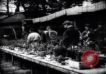 Image zoo et le marché aux fleurs Japon, 1900, de la seconde 12 séquences d'archives historiques vidéo 65675036769