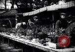 Image zoo et le marché aux fleurs Japon, 1900, de la seconde 13 séquences d'archives historiques vidéo 65675036769