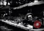 Image zoo et le marché aux fleurs Japon, 1900, de la seconde 15 séquences d'archives historiques vidéo 65675036769