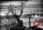 Image zoo et le marché aux fleurs Japon, 1900, de la seconde 17 séquences d'archives historiques vidéo 65675036769