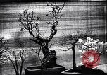 Image zoo et le marché aux fleurs Japon, 1900, de la seconde 18 séquences d'archives historiques vidéo 65675036769